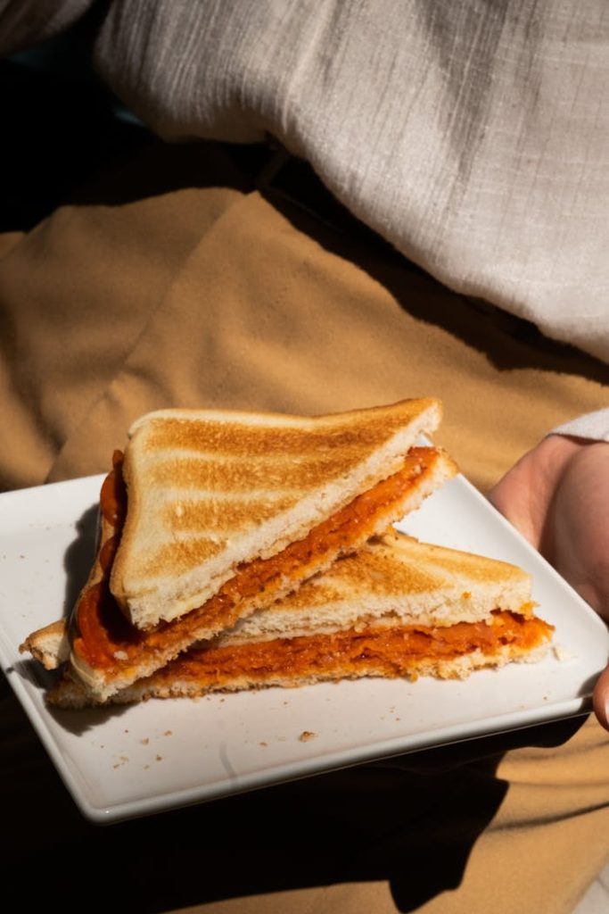 Delicious grilled sandwich on a ceramic plate, perfect for lunch.